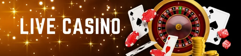 web-banner-1